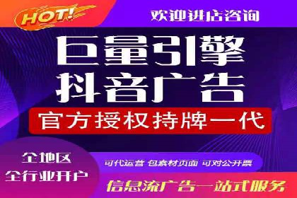 某某sem推广公司在某行业的应用与效果分析